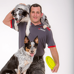 Sit Means Sit Dog Training - Valhalla, NY
