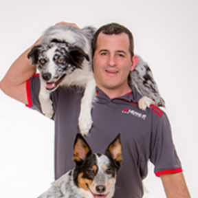 Sit Means Sit Dog Training - Valhalla, NY