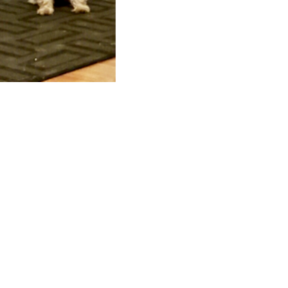 Croppedmessageimage791