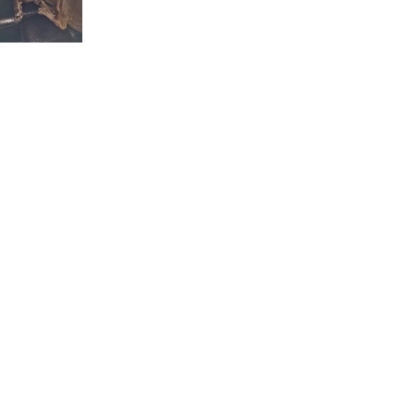 Croppedmessageimage418