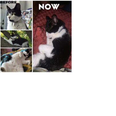 Croppedmessageimage156