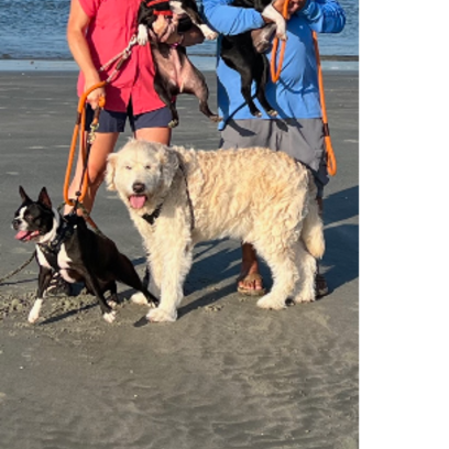 Croppedmessageimage697