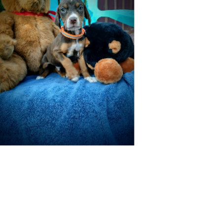 Croppedmessageimage642