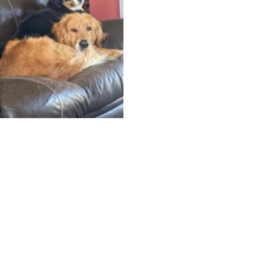 Croppedmessageimage377
