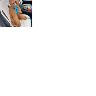 Croppedmessageimage966