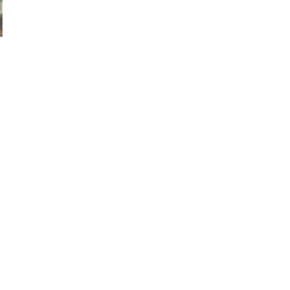 Croppedmessageimage669