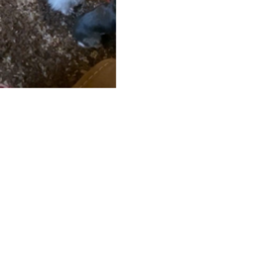 Croppedmessageimage150