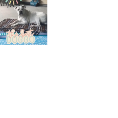 Croppedmessageimage232