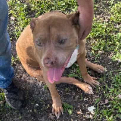 Croppedmessageimage263