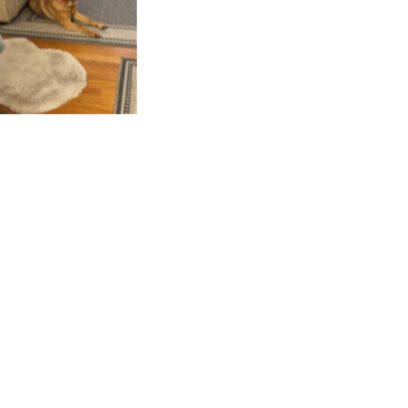 Croppedmessageimage319