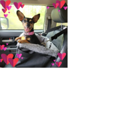 Croppedmessageimage674