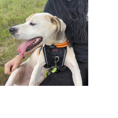 Croppedmessageimage245