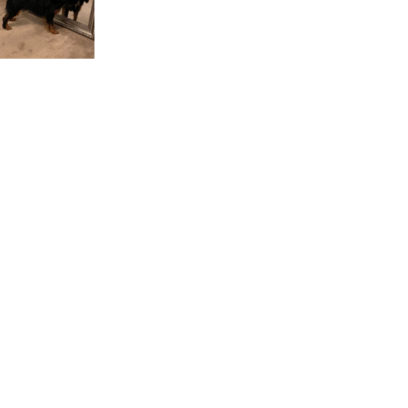 Croppedmessageimage164