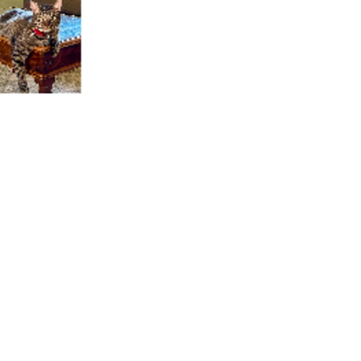 Croppedmessageimage941