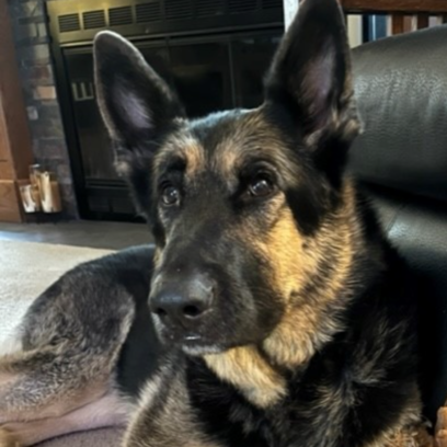 Croppedmessageimage216