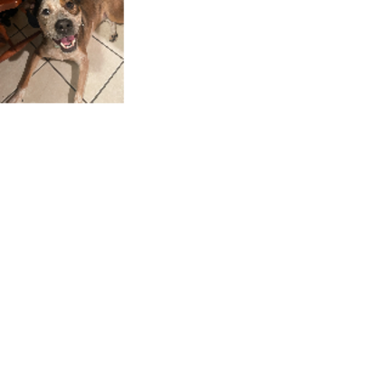 Croppedmessageimage471