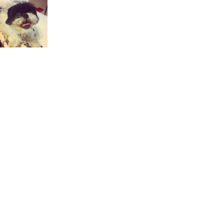 Croppedmessageimage378