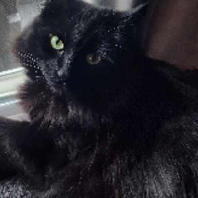 Croppedmessageimage214