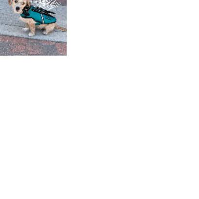Croppedmessageimage785