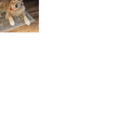 Croppedmessageimage645