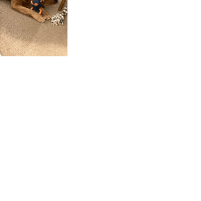 Croppedmessageimage721