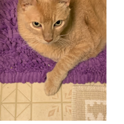 Croppedmessageimage50