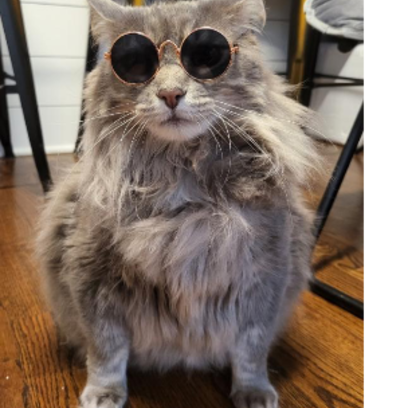 Croppedmessageimage491