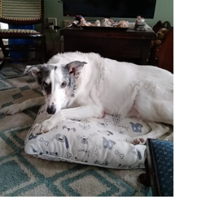 Croppedmessageimage773