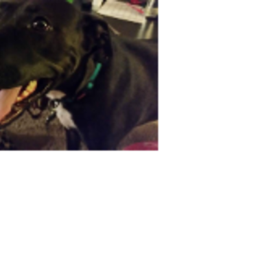 Croppedmessageimage218