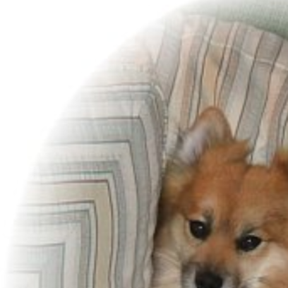 Croppedmessageimage350