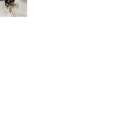 Croppedmessageimage732
