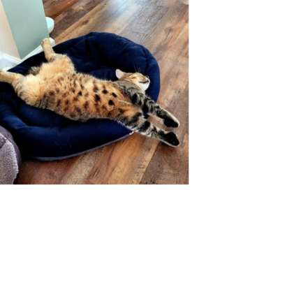 Croppedmessageimage934