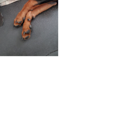 Croppedmessageimage488