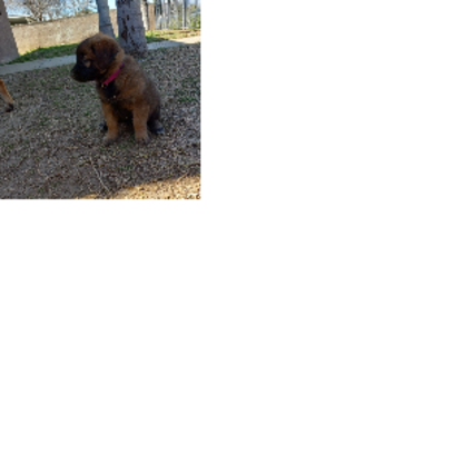 Croppedmessageimage106