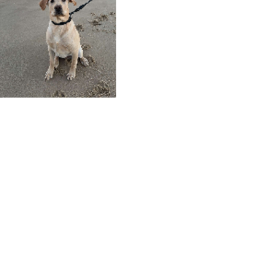 Croppedmessageimage680