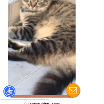 Croppedmessageimage374