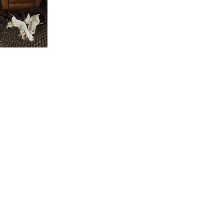 Croppedmessageimage851