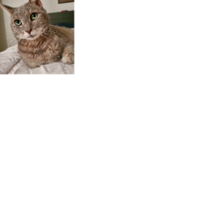 Croppedmessageimage898