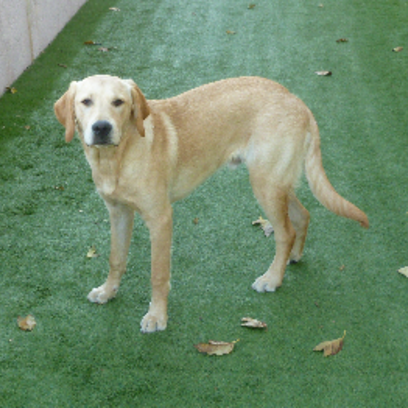 Croppedmessageimage954