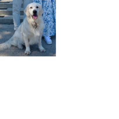Croppedmessageimage914
