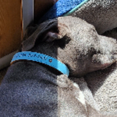 Croppedmessageimage625