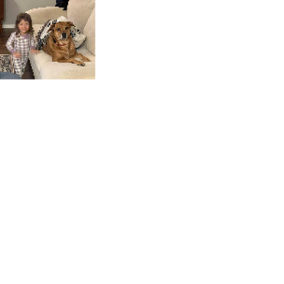 Croppedmessageimage319