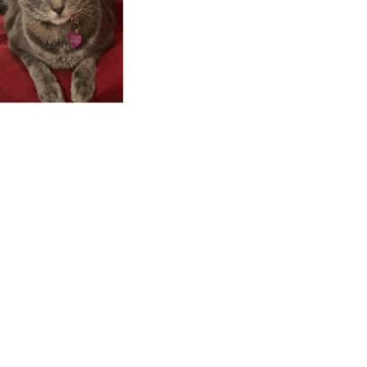 Croppedmessageimage726
