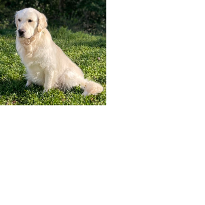 Croppedmessageimage937