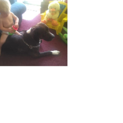 Croppedmessageimage767