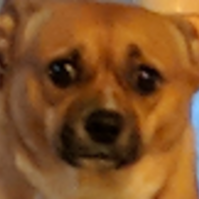 Croppedimage605