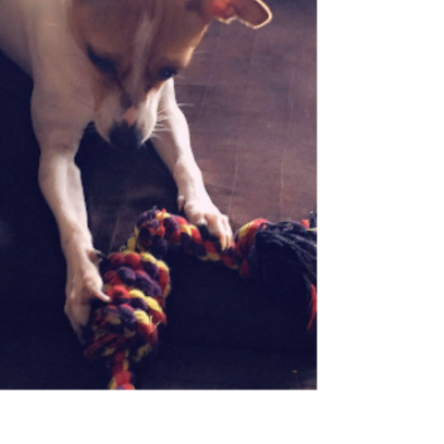 Croppedmessageimage35