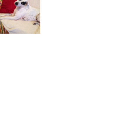Croppedmessageimage160