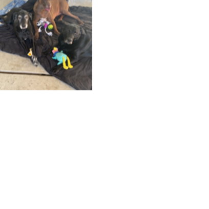 Croppedmessageimage269