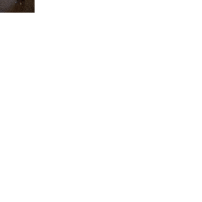 Croppedmessageimage75